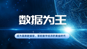 数据为王：成为首席数据官，掌舵数字经济的黄金时代