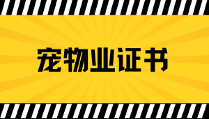 宠物经济狂飙4000亿，你的专业证书选对了吗？&mdash;&mdash;为什么越来越多的宠物从业者选择JYPC全国职业资格考试认证中心