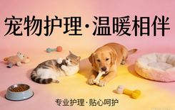 宠物健康护理师招生简章