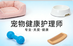 专业赋能，护宠安康！JYPC宠物健康护理师，引领行业标准化新征程