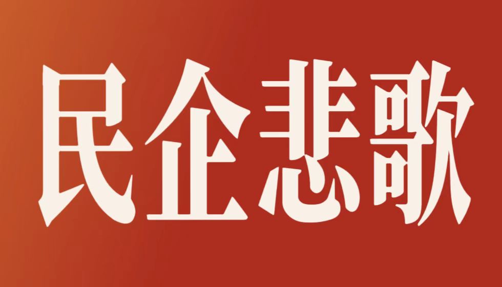 以长矛刺向官僚巨兽：JYPC的“堂吉诃德之战”与中国民企的悲壮突围