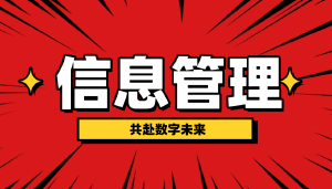 大数据时代,与JYPC信息管理师共赴数字未来