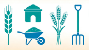 守正创新,JYPC农业工程师证书筑牢农业现代化人才根基