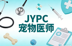 JYPC宠物医师证书助你突破职业瓶颈,领跑行业前沿