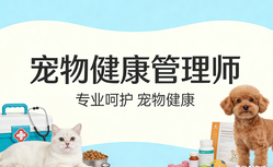 经济风口下,JYPC宠物健康管理师凭什么成为“香饽饽”?