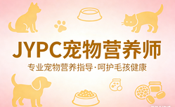 告别养宠误区,JYPC宠物营养师认证,做专业宠护人,抢占行业红利